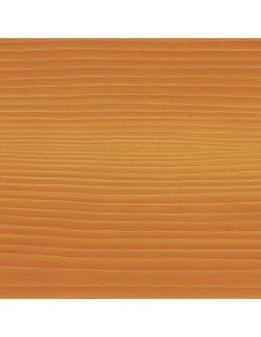05540504